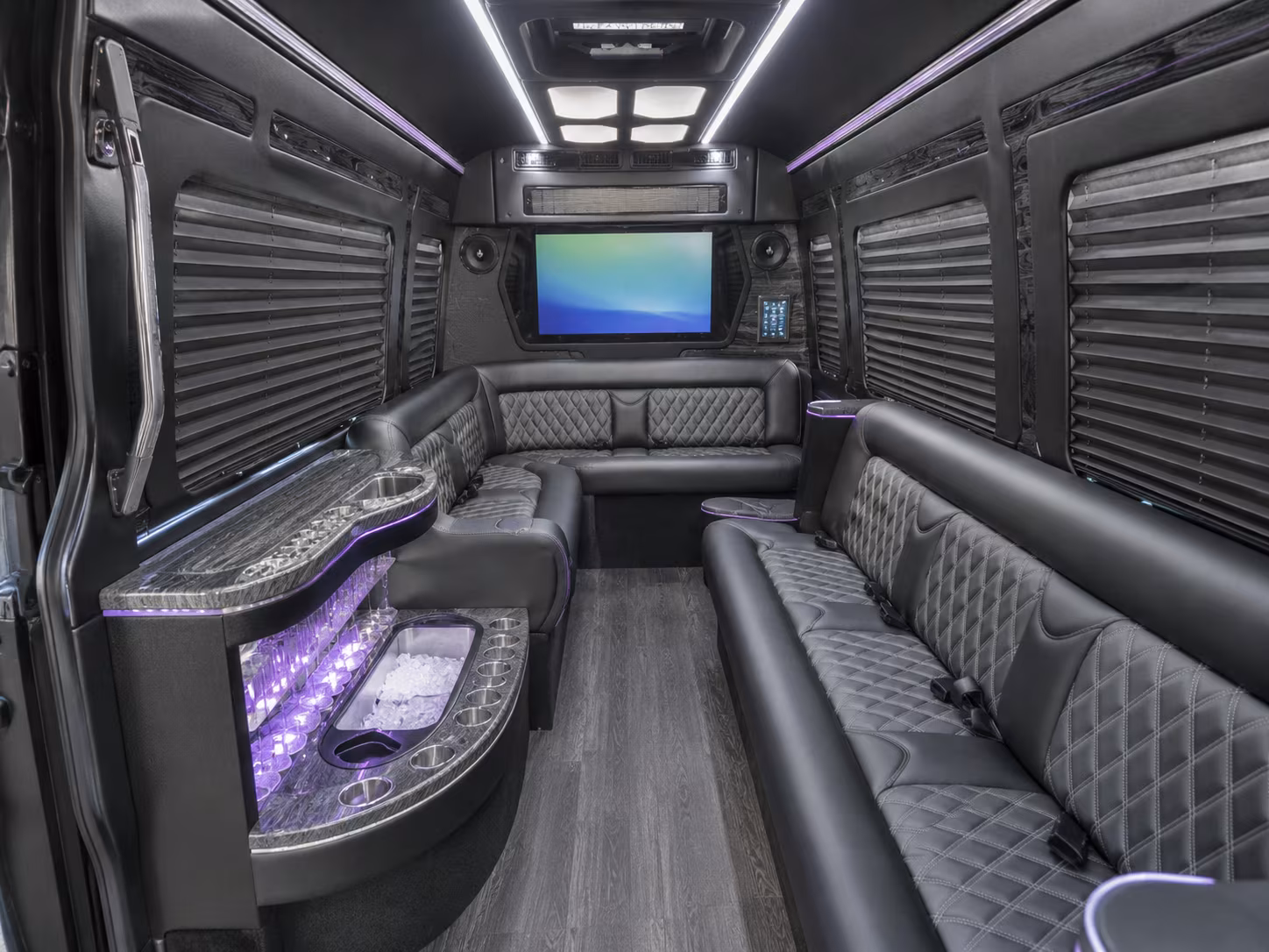 hoover party bus rental interior